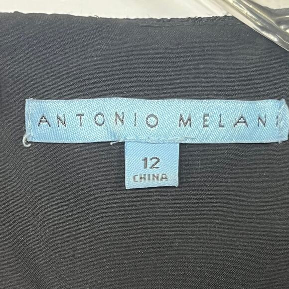 NWT Antonio Melani Size 12 Edna Dress A-Line Sleeveless Metallic Black Lace - Picture 11 of 16